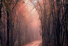 PG游戏:孔塞桑:今天输球情况特殊且平局是合理结果 让点体现更衣室团结.