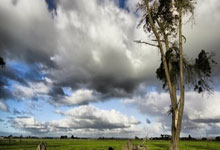 PG游戏:备战世预赛18强赛 国新一期集训赴阿联酋备战.