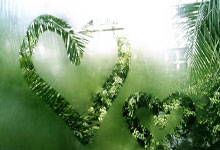 换人调整再遭自家球迷嘘!英格兰名宿:澳波失去了支持.