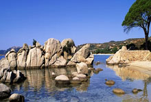 BR:现在法国国家队的锋线厚度,强得简直离谱.